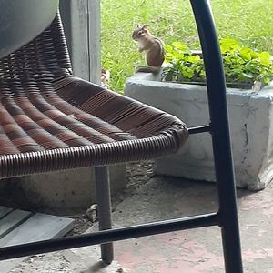 Meet your Posher, Shane